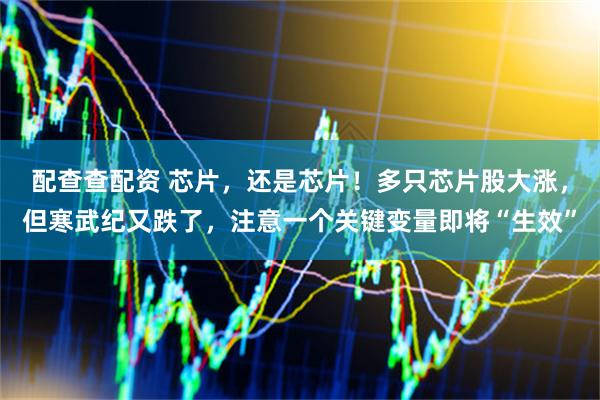 配查查配资 芯片，还是芯片！多只芯片股大涨，但寒武纪又跌了，注意一个关键变量即将“生效”