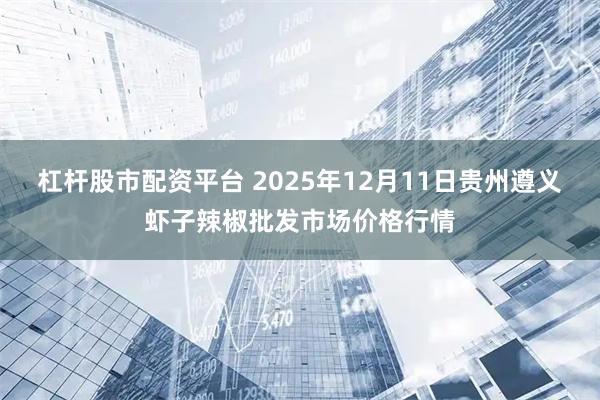 杠杆股市配资平台 2025年12月11日贵州遵义虾子辣椒批发市场价格行情