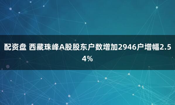 配资盘 西藏珠峰A股股东户数增加2946户增幅2.54%